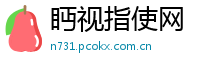 眄视指使网